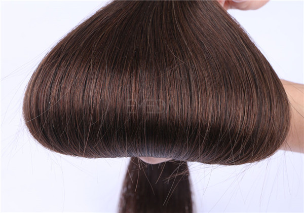 Human hair factory how much is tape in hair extensions in different color and length YL258